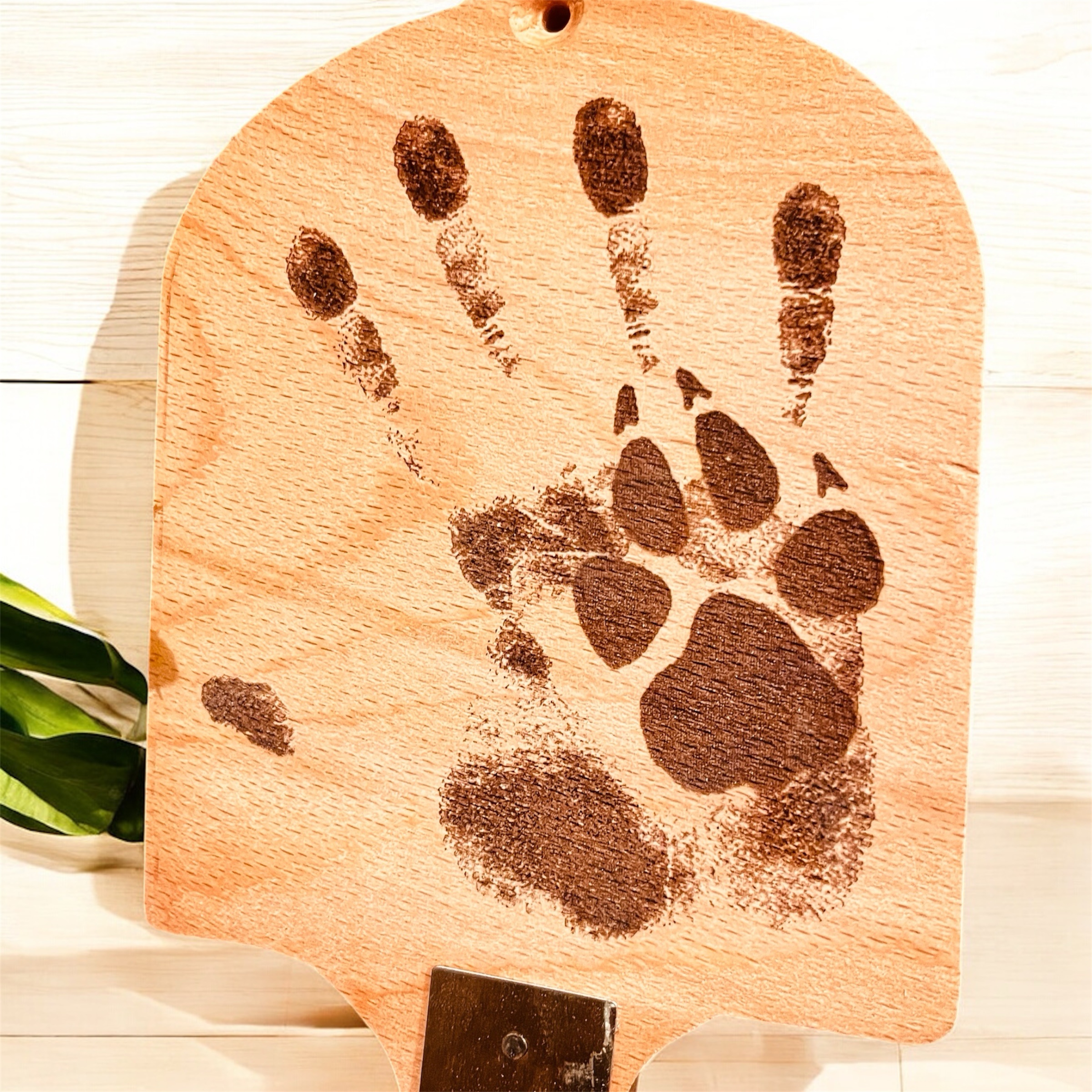 photoroom_20250801_163423